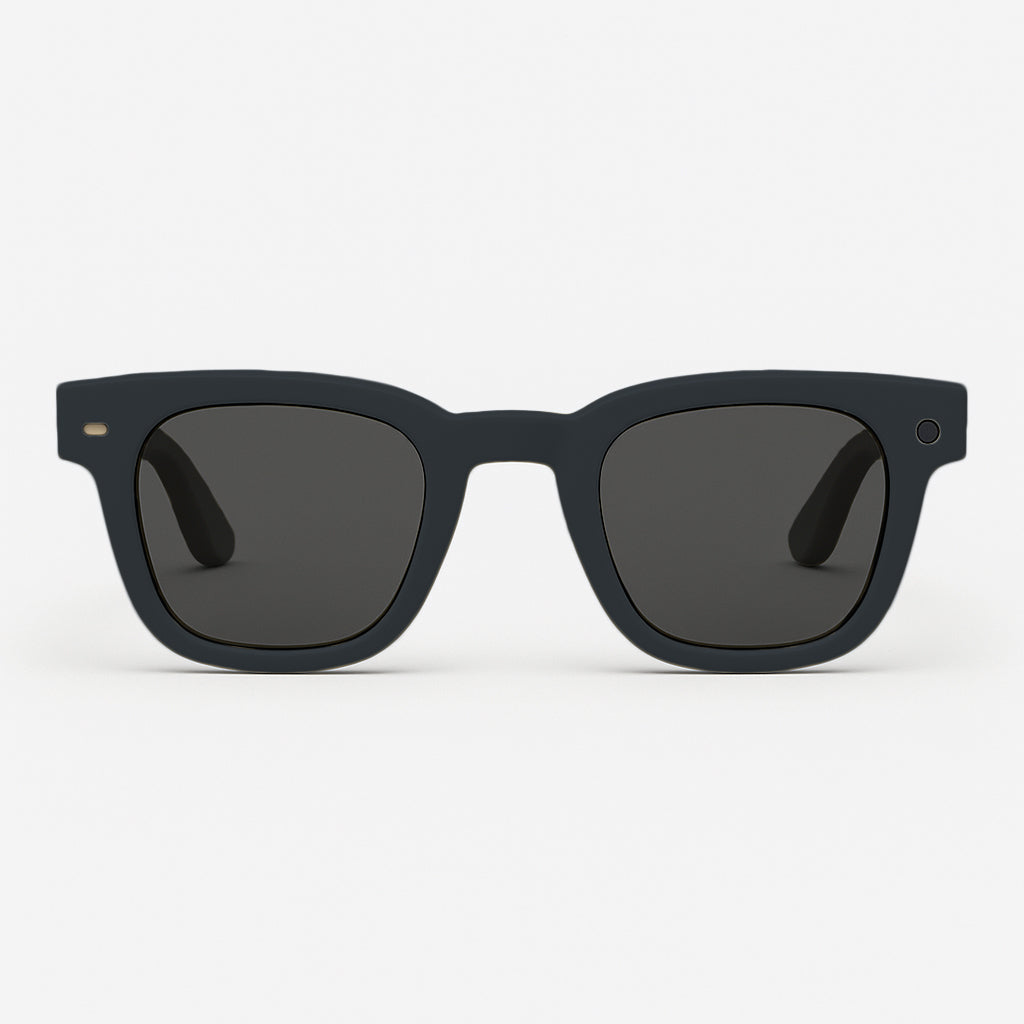 Inspector AI Glasses