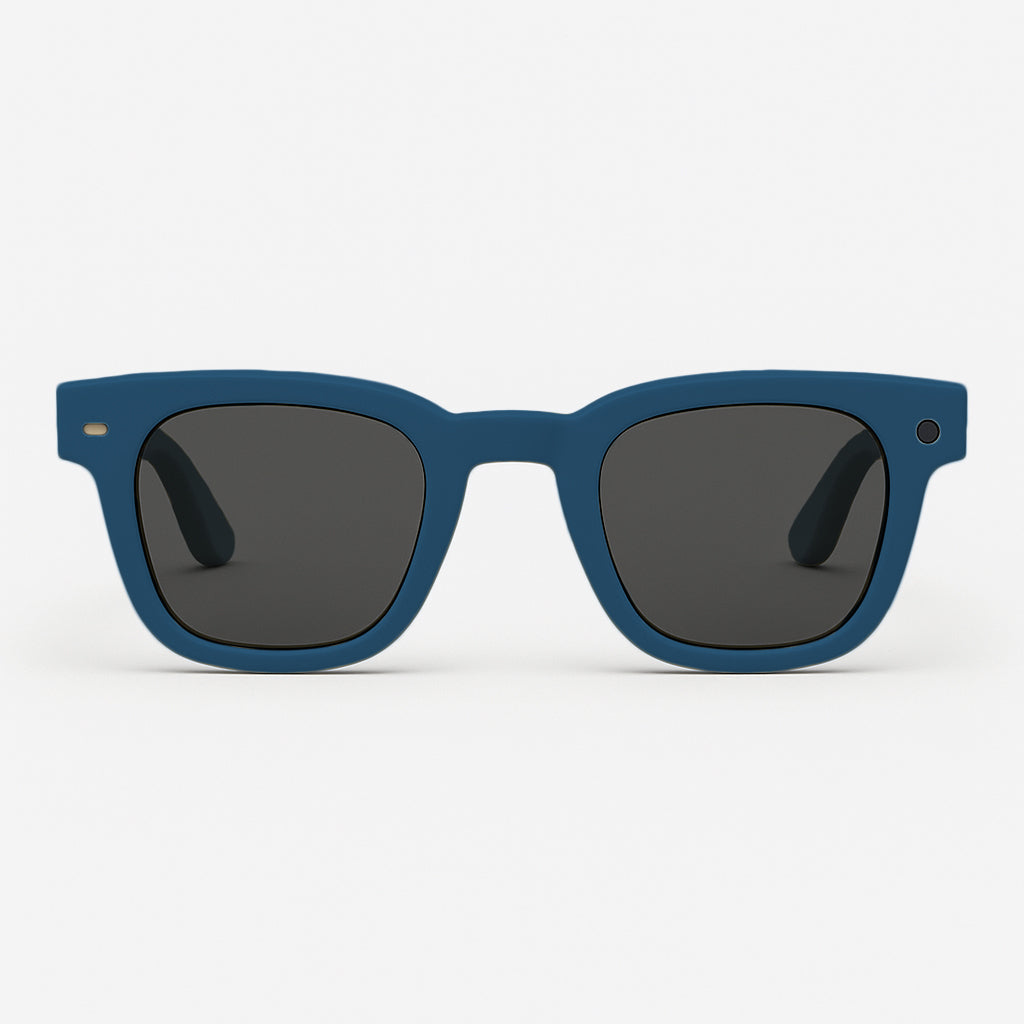 Inspector AI Glasses