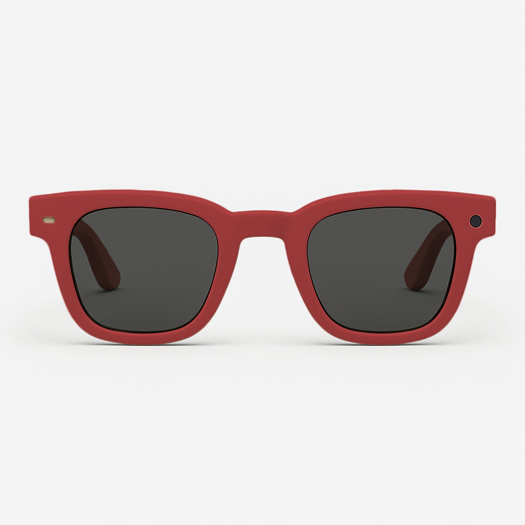 Inspector AI Glasses