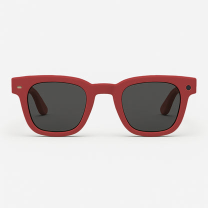 Inspector AI Glasses